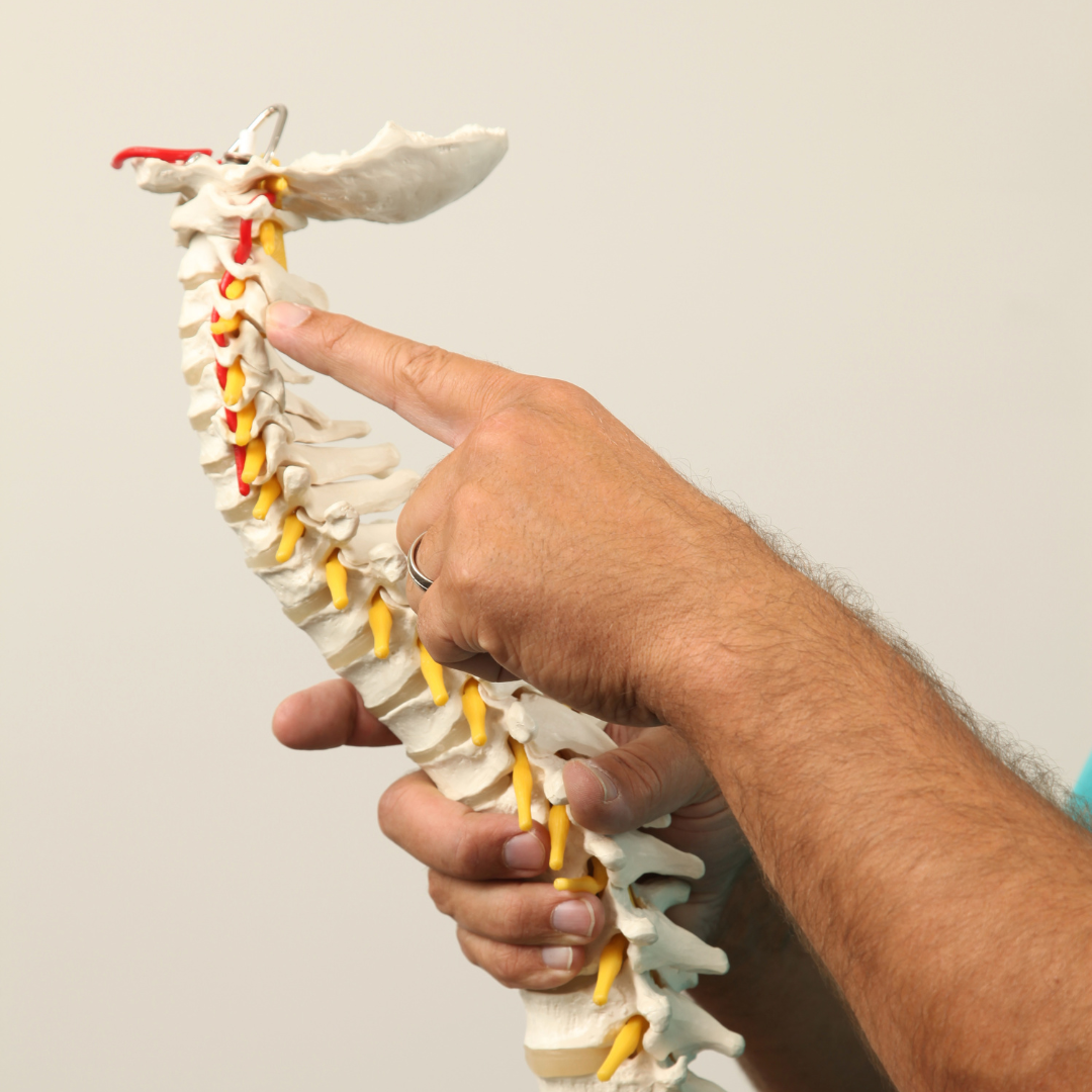 chiro-2